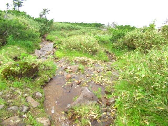 羽衣の滝が見れる滝見台を目指して登山スタートの様子
