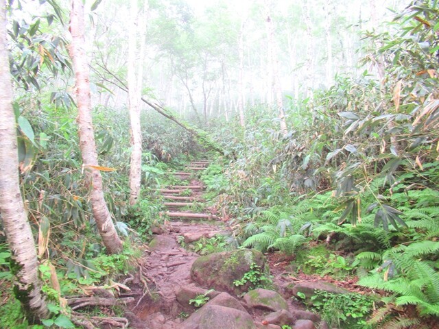 ニセコアンヌプリへ登山ルートの詳細