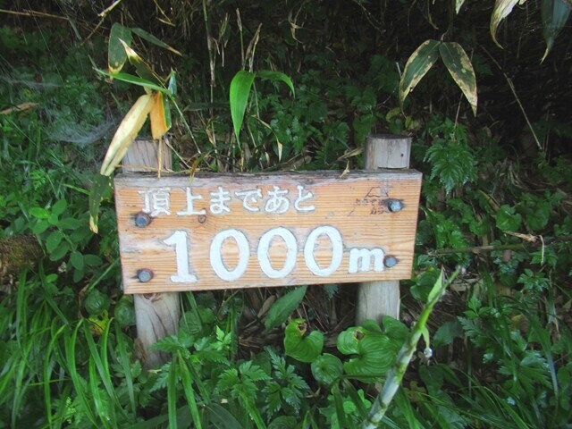 登山ルート上の道標５００ｍ地点
