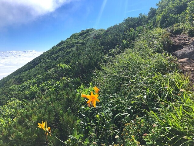 綺麗な山容をしているニセコアンヌプリ登山中の様子と景色