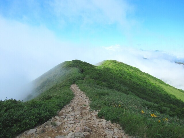 ニセコアンヌプリガスの中の登山ルート