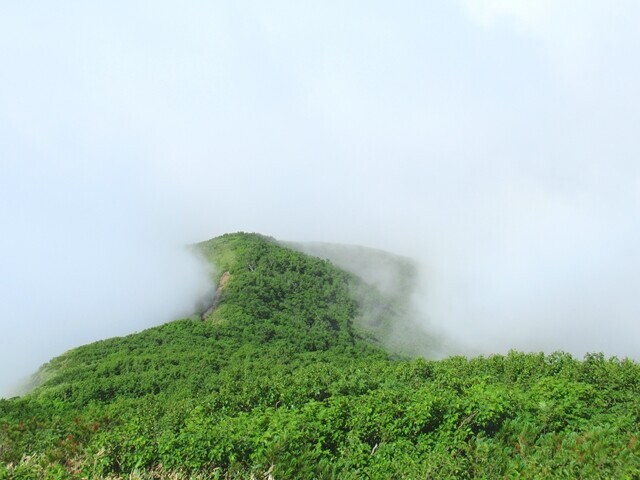 標高１，０００ｍの天気