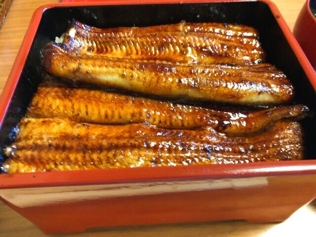 友栄うなぎのうな重