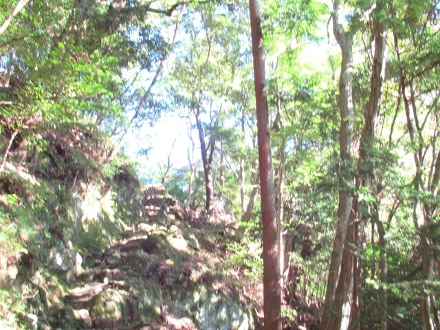 大山登山の天気と気温