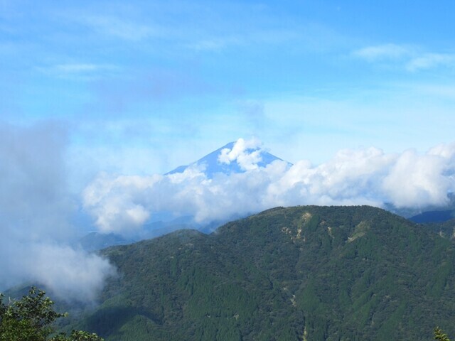 大山山頂から眺める富士山の景色