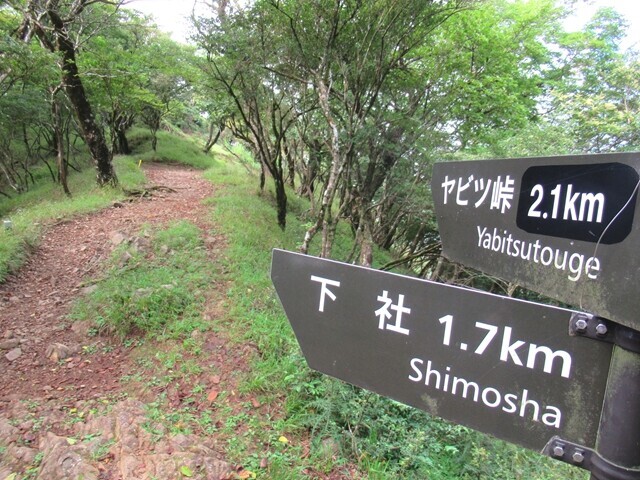 大山山頂からヤビツ峠、護摩屋敷の水場を目指して登山を再開の様子