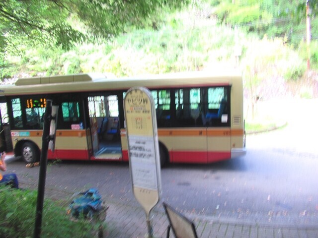 ヤビツ峠バス停付近の様子