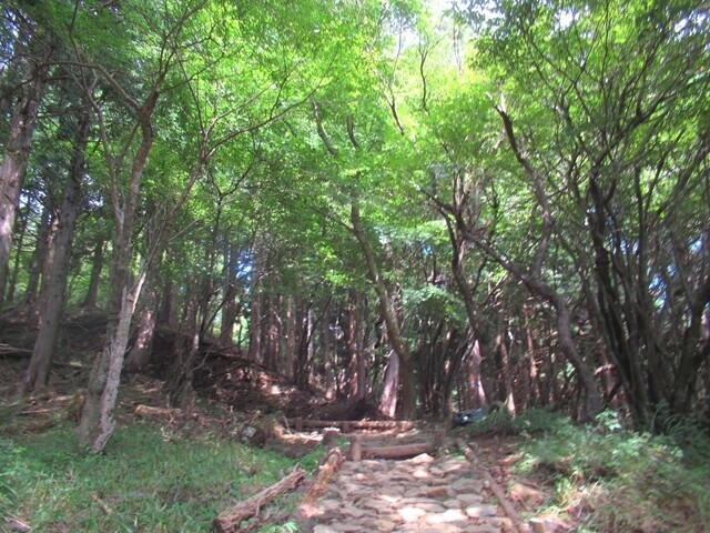 二ノ塔までの登山ルート