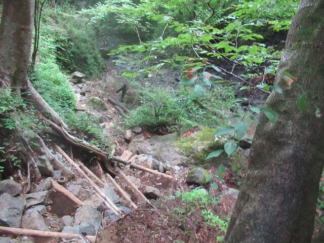 大倉バス停までの鍋割山登山ルート