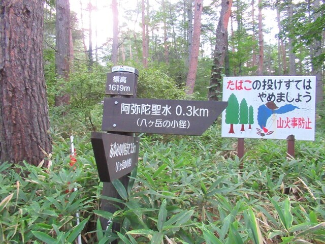 阿弥陀聖水と御小屋尾根の分岐地点