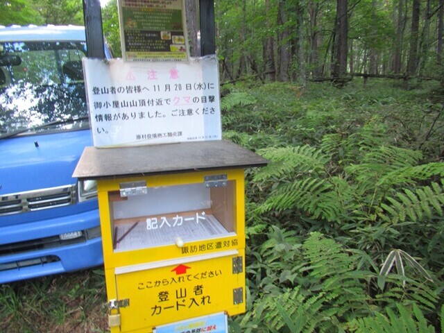 阿弥陀岳熊の出没情報