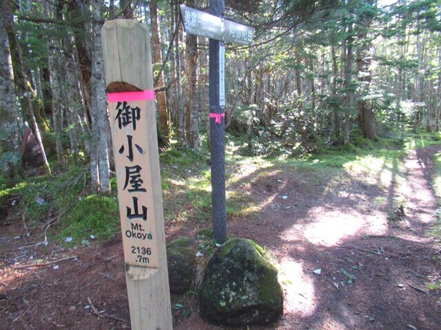 御小屋山の山頂