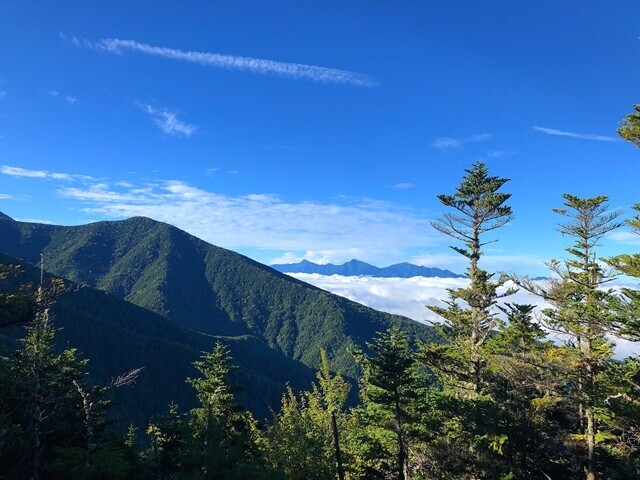 >御小屋山から阿弥陀岳方面景色が開けた場所