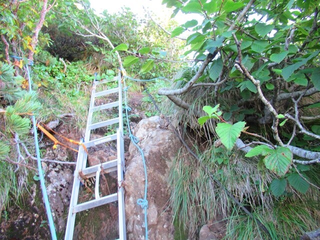 阿弥陀岳登山道の梯子