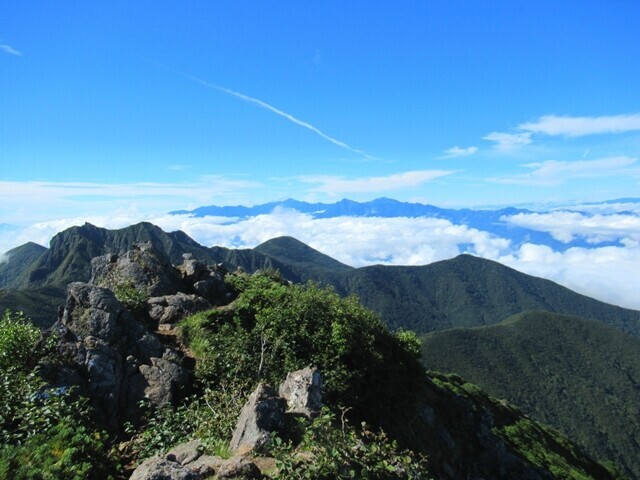 振り返っての御小屋尾根登山ルートの様子