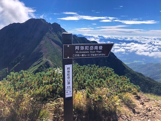 阿弥陀岳南陵尾根の分岐