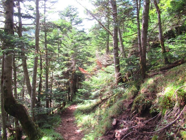 キレット小屋周辺の登山道