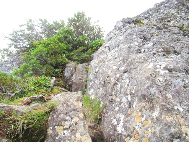 八ヶ岳旭岳の登山ルートの様子