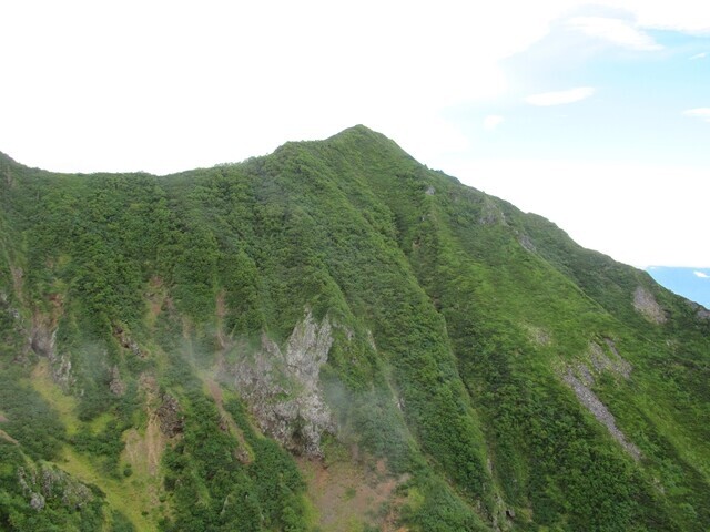 権現岳から延びるギボシの景色