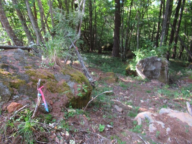 林道から立場川キャンプ場へ至るルートの入口にあったマーキング