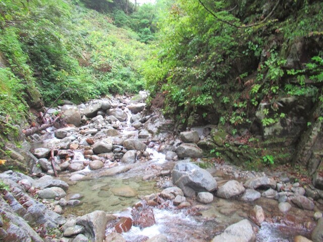 下ノアシ沢の雰囲気