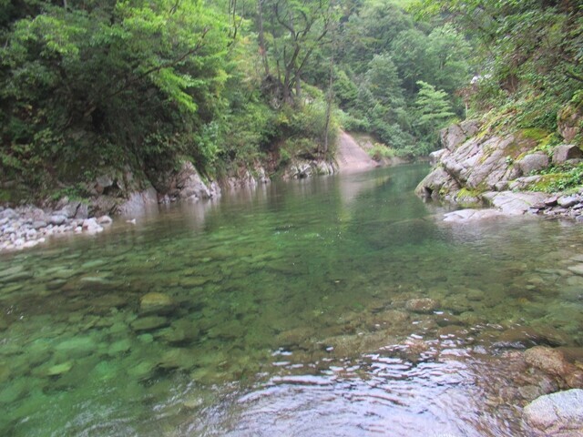 オンベ松尾根周辺の沢の景色