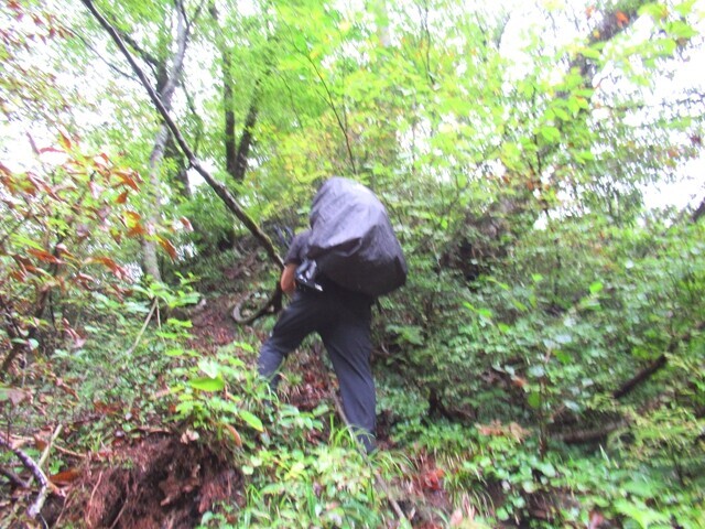 オンベ松尾根から大日岳を目指して登山開始の様子