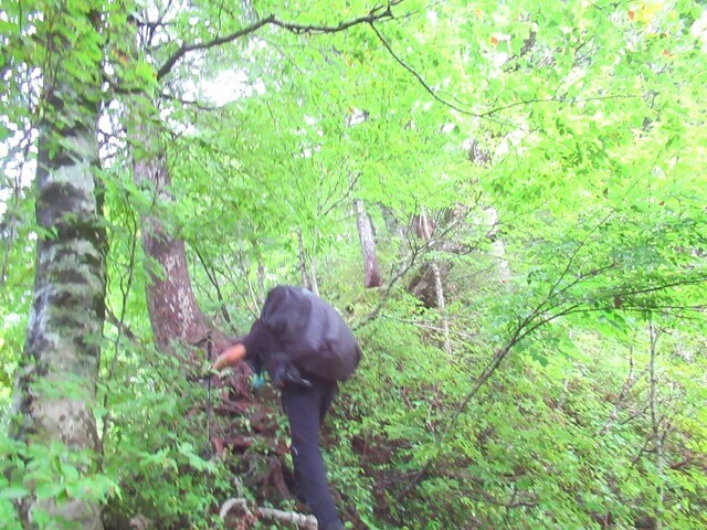 オンベ松尾根から大日岳登山の様子