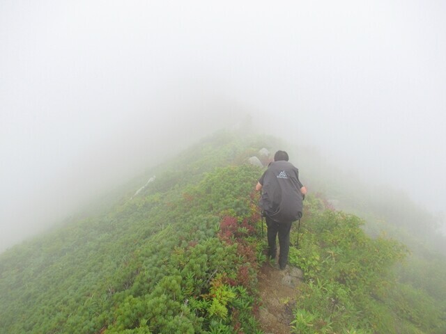 牛首山の山頂近くの縦走路
