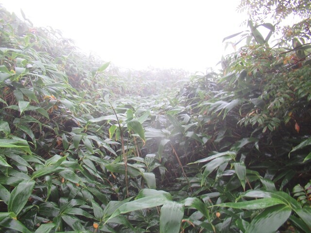 飯豊連峰最高峰大日岳登山中の様子