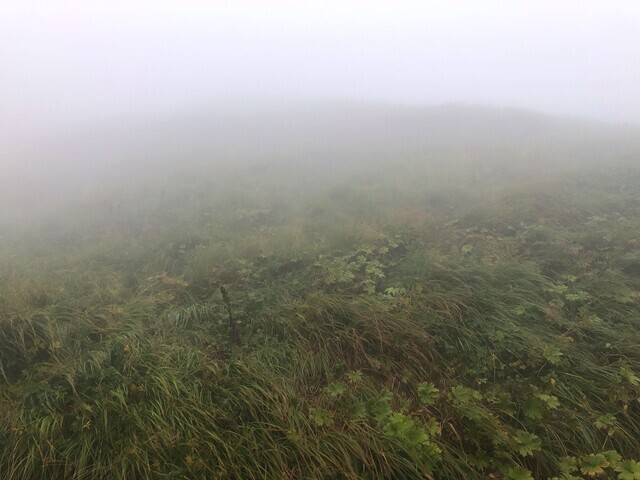 オンベ松尾根の登山口から大日岳の山頂までは直線距離で4、5kmほどの道のり