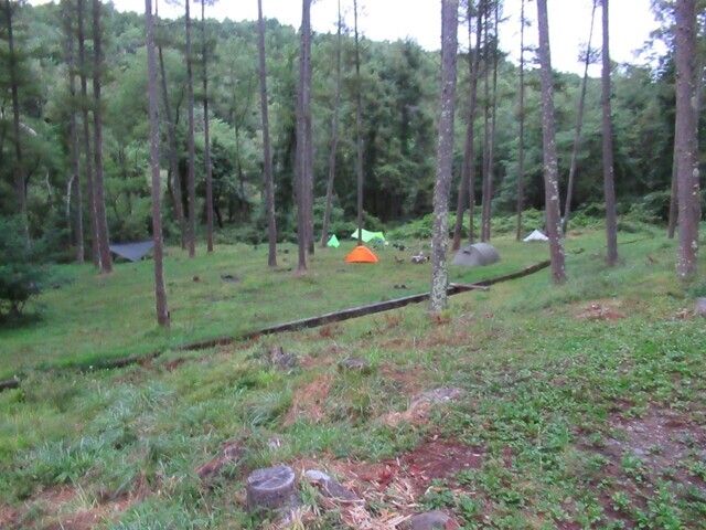 立場川キャンプ場のサイトの川沿いの様子