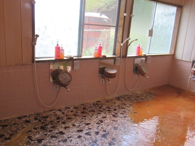 鹿の瀬温泉のシャンプー、リンゴ酢、湯船の様子