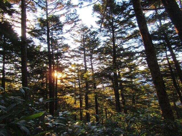 御嶽山登山中に日の出