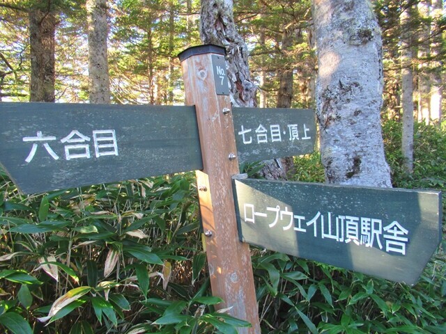 御嶽山ロープウェイ山頂駅舎との分岐