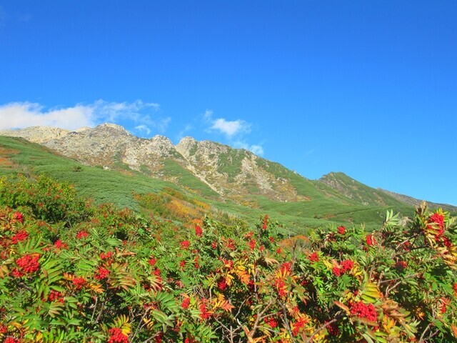 御嶽山の荒々しい景色