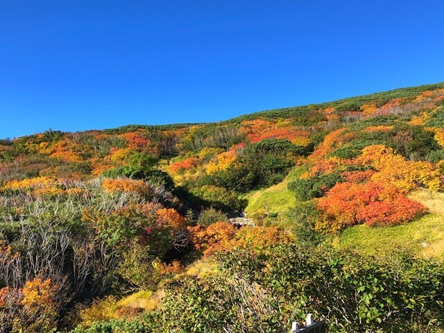 石室山荘までの登山ルート