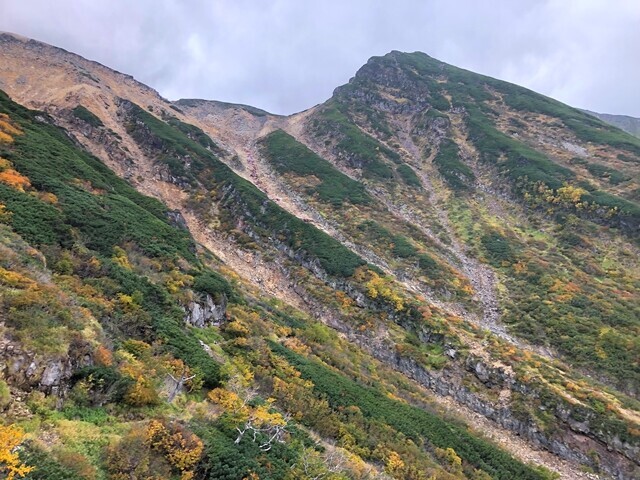 三ノ池方面の斜面の景色