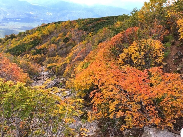 女人堂周辺が紅葉のピーク