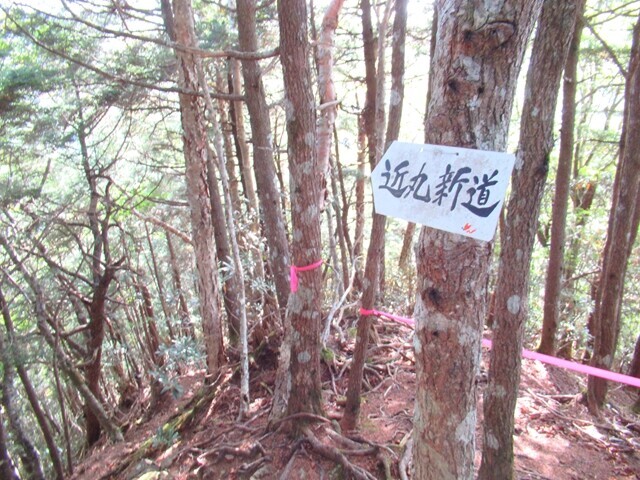 近丸尾根と徳ちゃん新道が合流する分岐