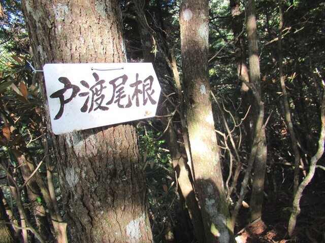 戸渡尾根
