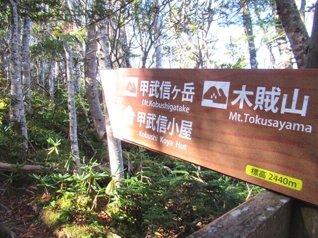 木賊山への分岐