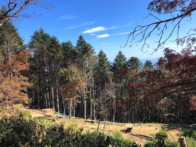 甲武信小屋のテント場