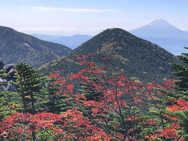 三宝山の山頂から富士山と甲武信ヶ岳コラボ景色