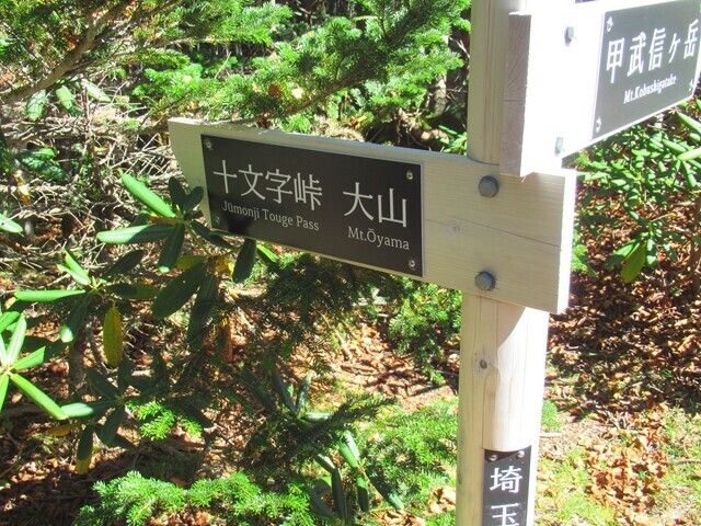 三宝山の山頂から大山、十文字峠へのルート道標