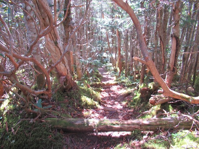 三宝岩への登山ルート詳細