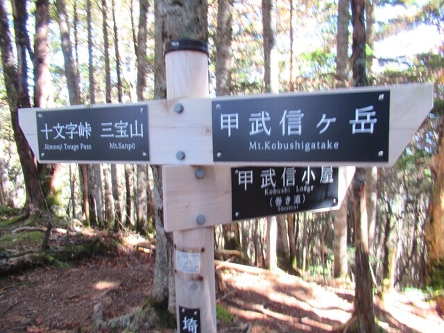 甲武信小屋の巻き道