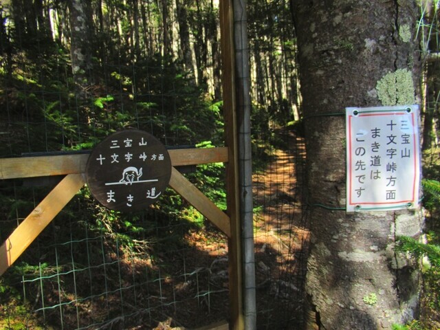 甲武信小屋の巻き道の入口のフェンス