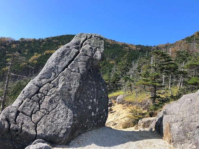 甲武信小屋の巻き道を破風山避難小屋方面に進むとイルカ石がある