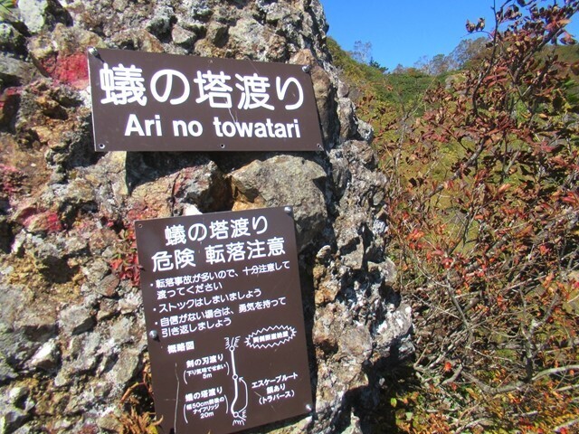 蟻の塔渡りの入口